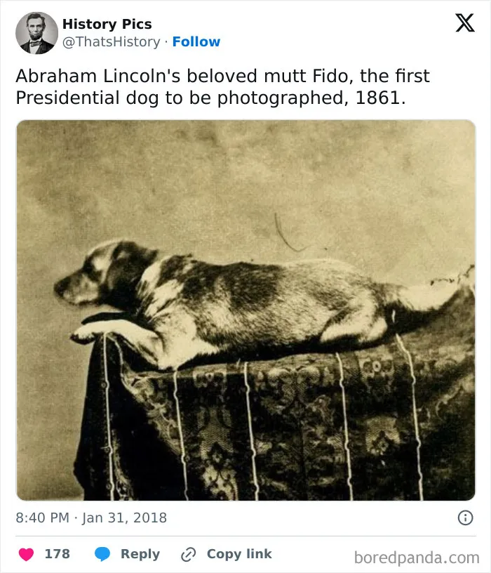 50 Interesting Historical Pics From “That’s History” That May Change Your Perspective On Things