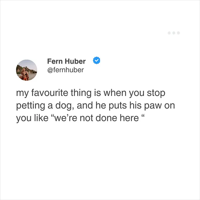 50 Funny Tweets That Have No Business Being So Accurate