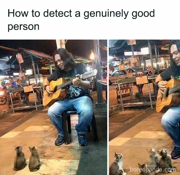 50 Funny And Awkward Animal Posts That Might Make Your Day Much Better
