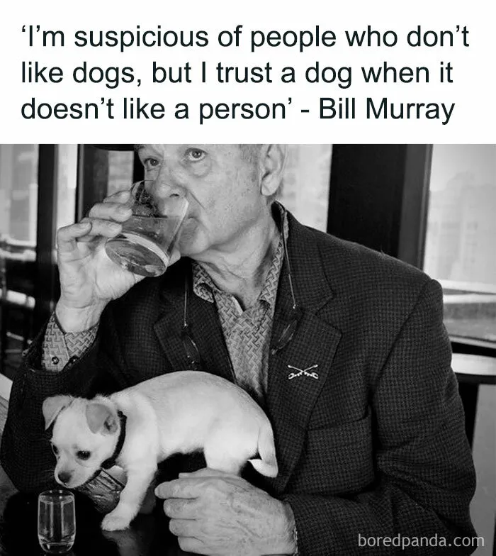 50 Memes That Dog Owners May Find Funny And Relatable