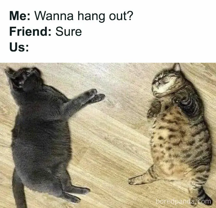 50 Hilarious Memes For Anyone Who Can’t Go A Day Without A Meme
