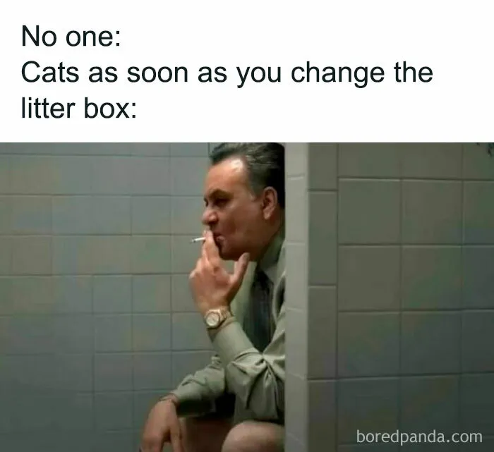 50 Hilarious Memes For Anyone Who Can’t Go A Day Without A Meme