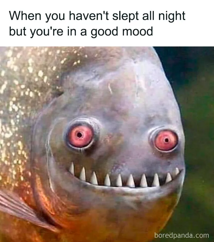 If You Desperately Need A Laugh Today, These 50 Memes Might Just Do The Trick