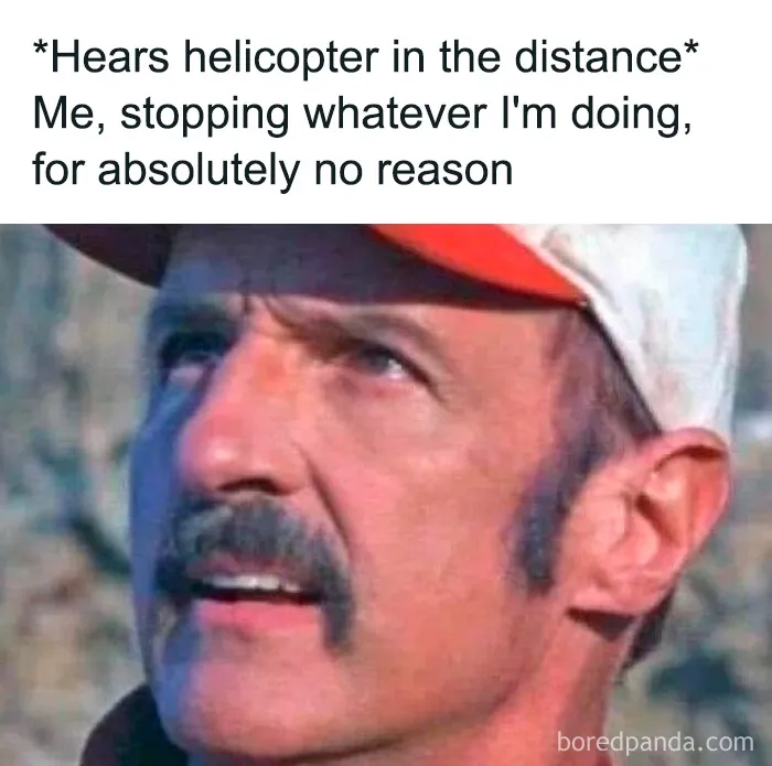 If You Desperately Need A Laugh Today, These 50 Memes Might Just Do The Trick