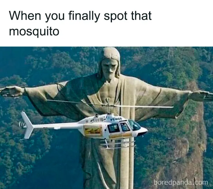 If You Desperately Need A Laugh Today, These 50 Memes Might Just Do The Trick