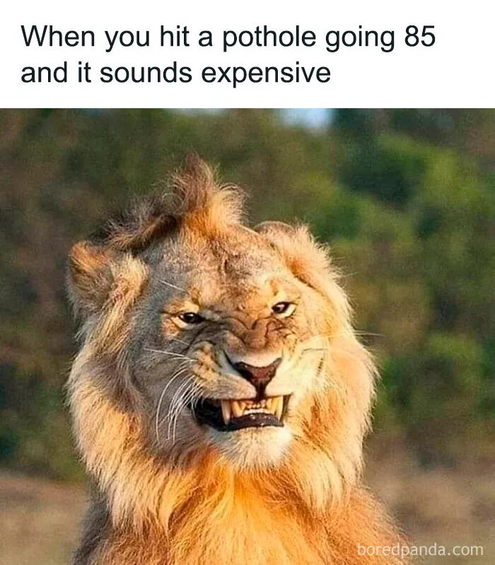 If You Desperately Need A Laugh Today, These 50 Memes Might Just Do The Trick