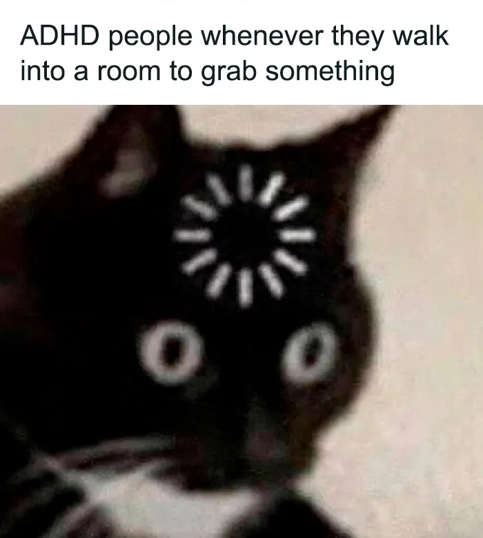 40 Relatable ADHD Memes For The Easily Distracted