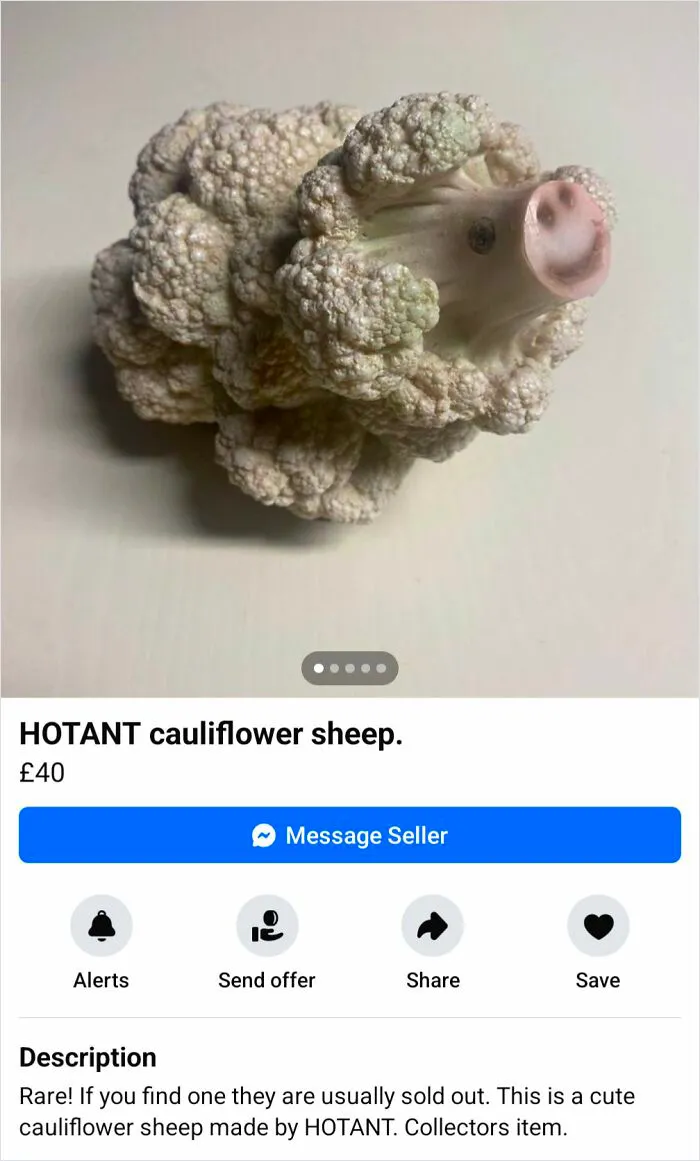 30 Times People Listed Hilariously Wild Ads And Expected To Actually Sell Something