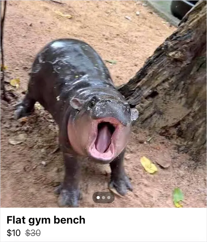 30 Times People Listed Hilariously Wild Ads And Expected To Actually Sell Something