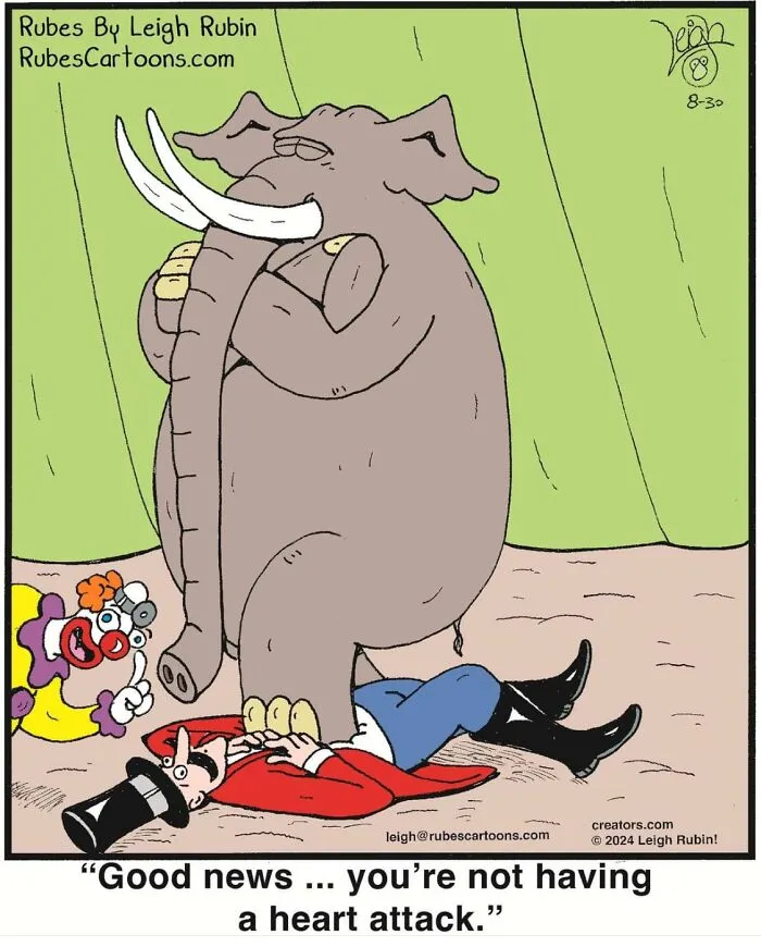 19 New Humorous Comics By Leigh Rubin To Make You Smile