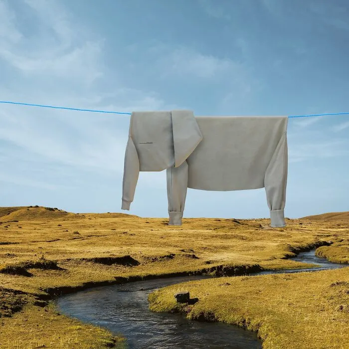 This Artist Created 21 Playful Animals From Laundry And Captured Them In Picturesque Landscapes