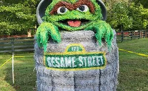 My Halloween Hay Bale Art To Brighten Your Day (12 New Pics)