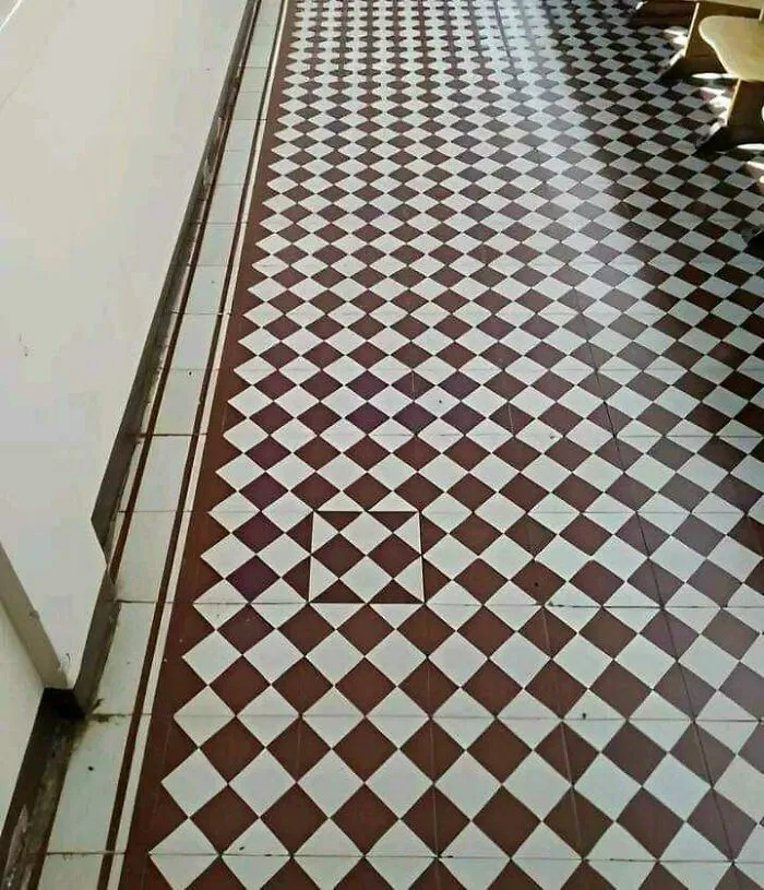 48 Divertidas imágenes sin contexto que no se explican pero hacen reír