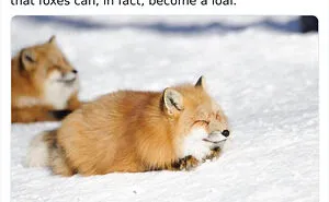 1.9M People Are Enjoying Wholesome Content From This FB Group, So Here Are 50 Of Their Best Posts (New Pics)