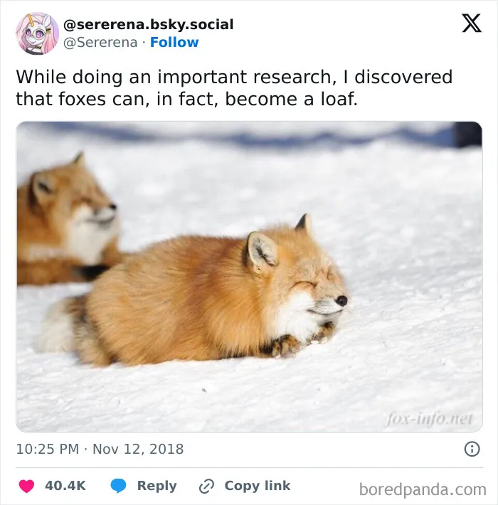 1.9M People Are Enjoying Wholesome Content From This FB Group, So Here Are 50 Of Their Best Posts (New Pics)