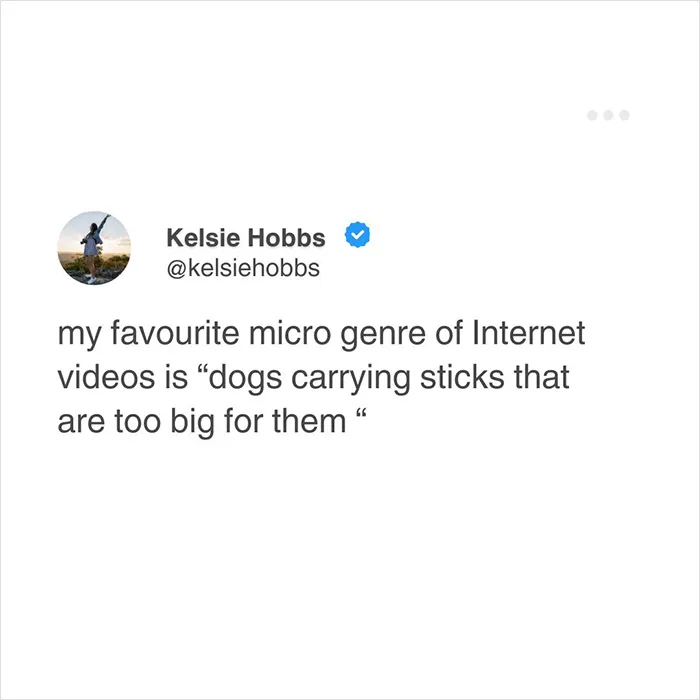50 Funny Tweets That Have No Business Being So Accurate