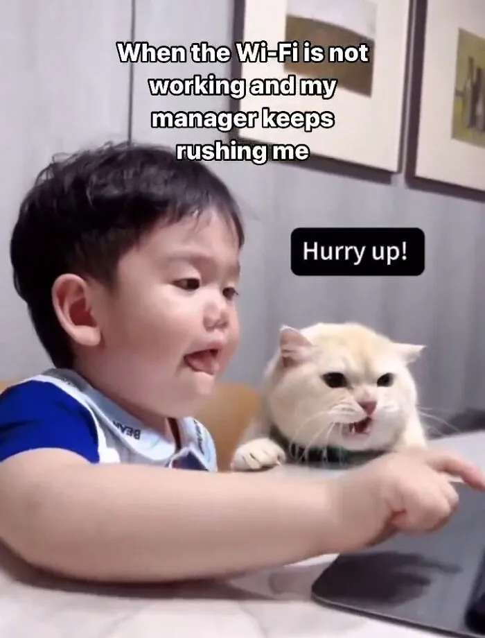 50 Of The Most Adorable Cats That Need A Raise For Their Top-Tier Work Ethic (New Pics)