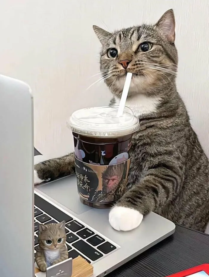 50 Of The Most Adorable Cats That Need A Raise For Their Top-Tier Work Ethic (New Pics)
