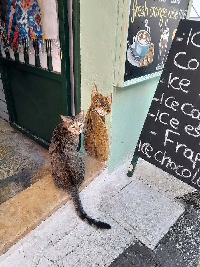 50 Of The Most Adorable Cats That Need A Raise For Their Top-Tier Work Ethic (New Pics)