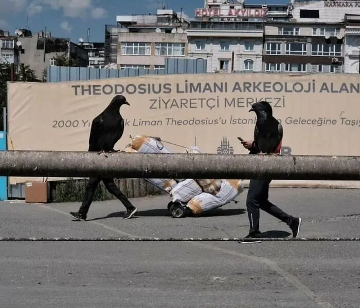 33 Highly Amusing Street Photos Shared On This Instagram Page (New Pics)