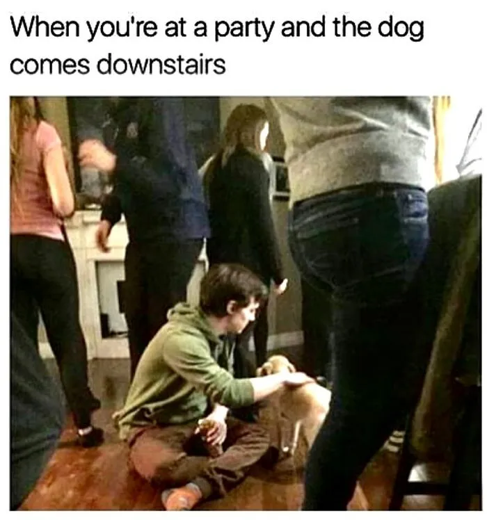 Well, that’s suspiciously relatable