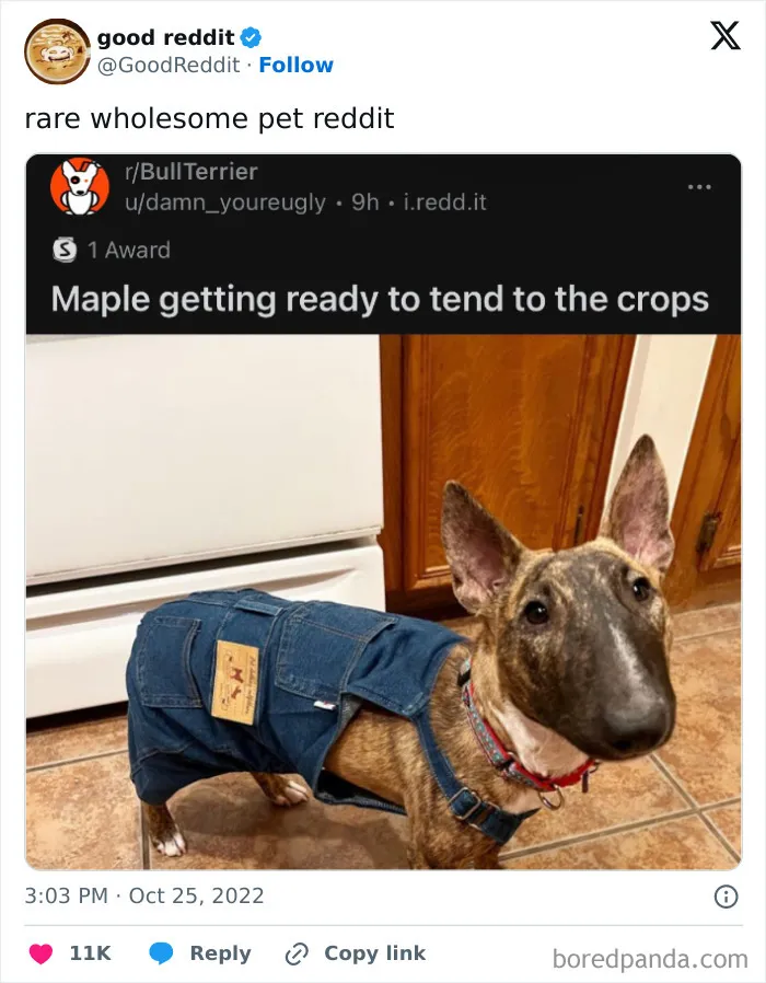 The World May Be Negative Sometimes, So Here Are 34 Adorable Tweets That May Bring Some Joy
