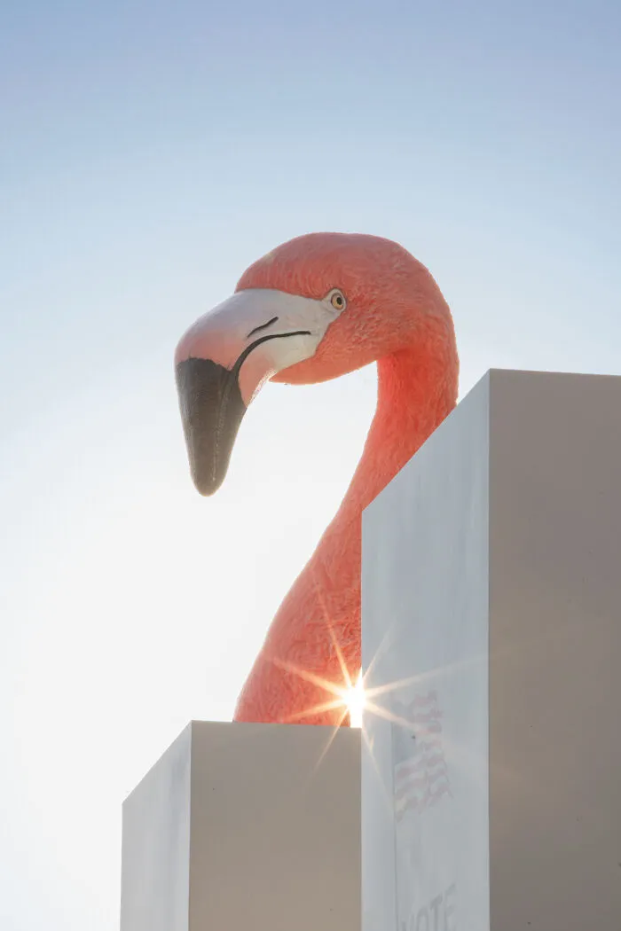 Flamingo Fever: Inspiring Votes With A Pop Of Pink (17 Pics)