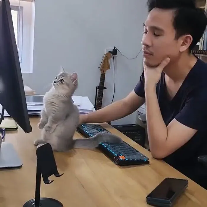 50 Of The Most Adorable Cats That Need A Raise For Their Top-Tier Work Ethic (New Pics)