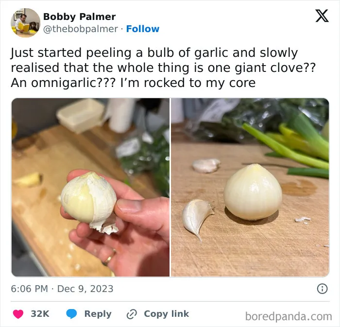 50 Funny "Great British Memes" To Crack You Up