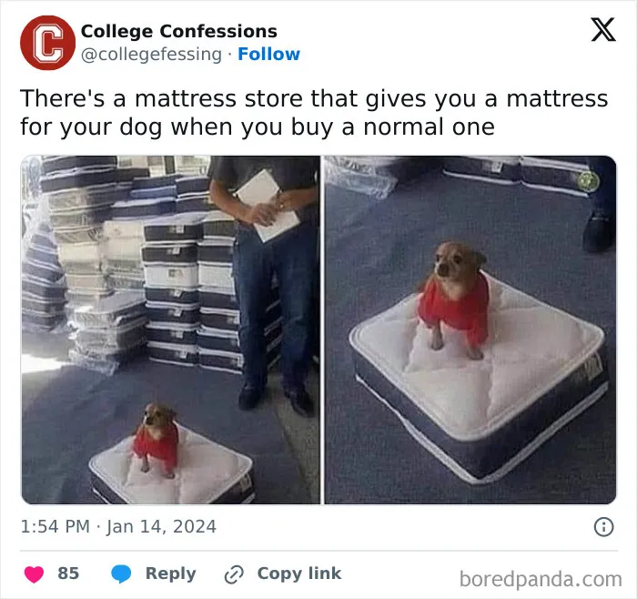 1.9M People Are Enjoying Wholesome Content From This FB Group, So Here Are 50 Of Their Best Posts (New Pics)
