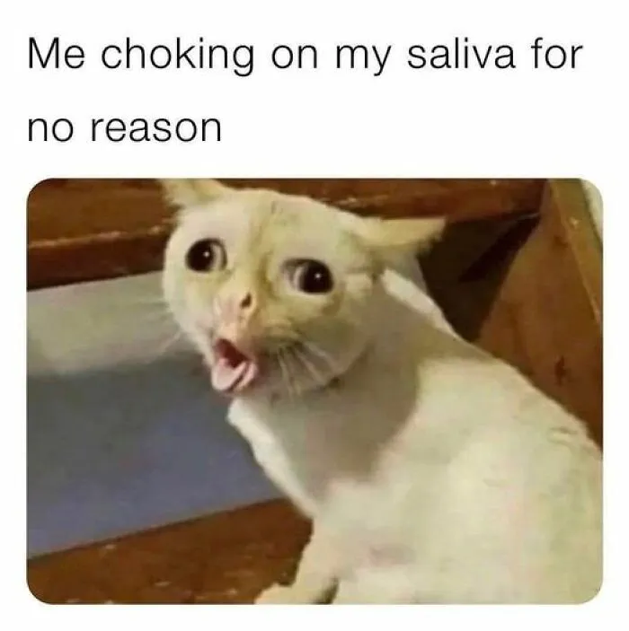 50 Posts And Memes That Went Slightly Into The Realm Of The Twisted And Unexpected