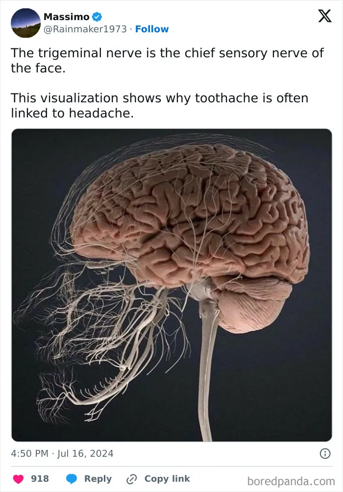 This IG Page Is Home To All Kinds Of Cool Data, Here Are 30 Of Their Most Interesting Posts