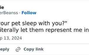 50 Hilarious Memes For Anyone Who Can’t Go A Day Without A Meme
