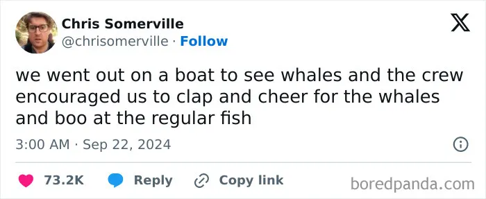 The World May Be Negative Sometimes, So Here Are 34 Adorable Tweets That May Bring Some Joy