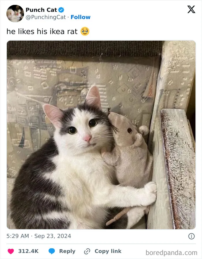 The World May Be Negative Sometimes, So Here Are 34 Adorable Tweets That May Bring Some Joy