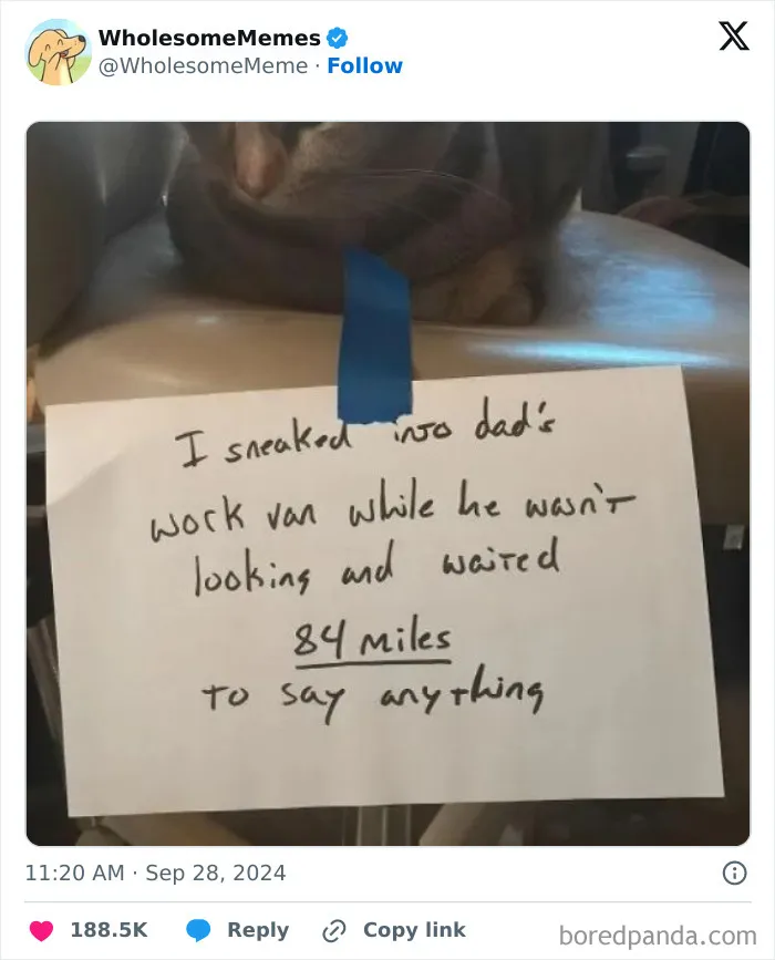 The World May Be Negative Sometimes, So Here Are 34 Adorable Tweets That May Bring Some Joy