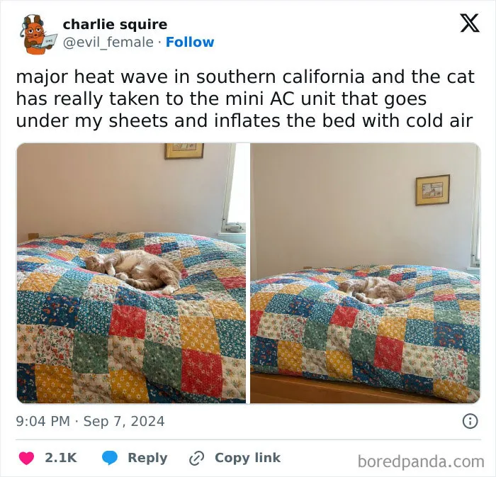 The World May Be Negative Sometimes, So Here Are 34 Adorable Tweets That May Bring Some Joy