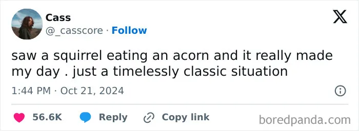 30 Times Women Were So Funny On Twitter They Deserved An Award (October Edition)
