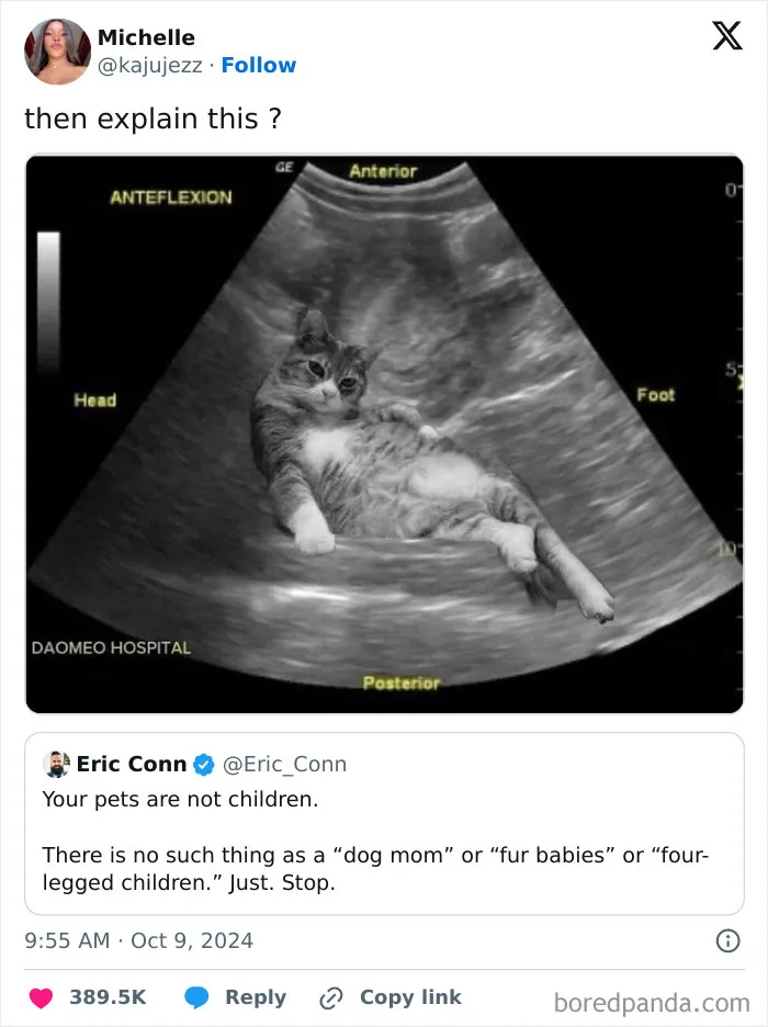 50 Tweets That Won Comedy Gold This October