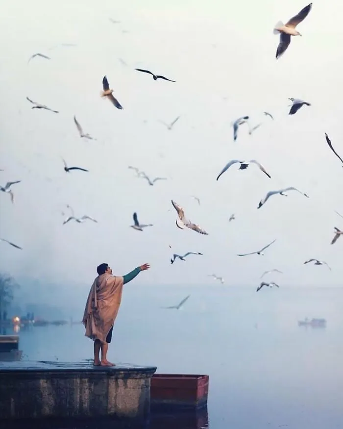 33 Highly Amusing Street Photos Shared On This Instagram Page (New Pics)