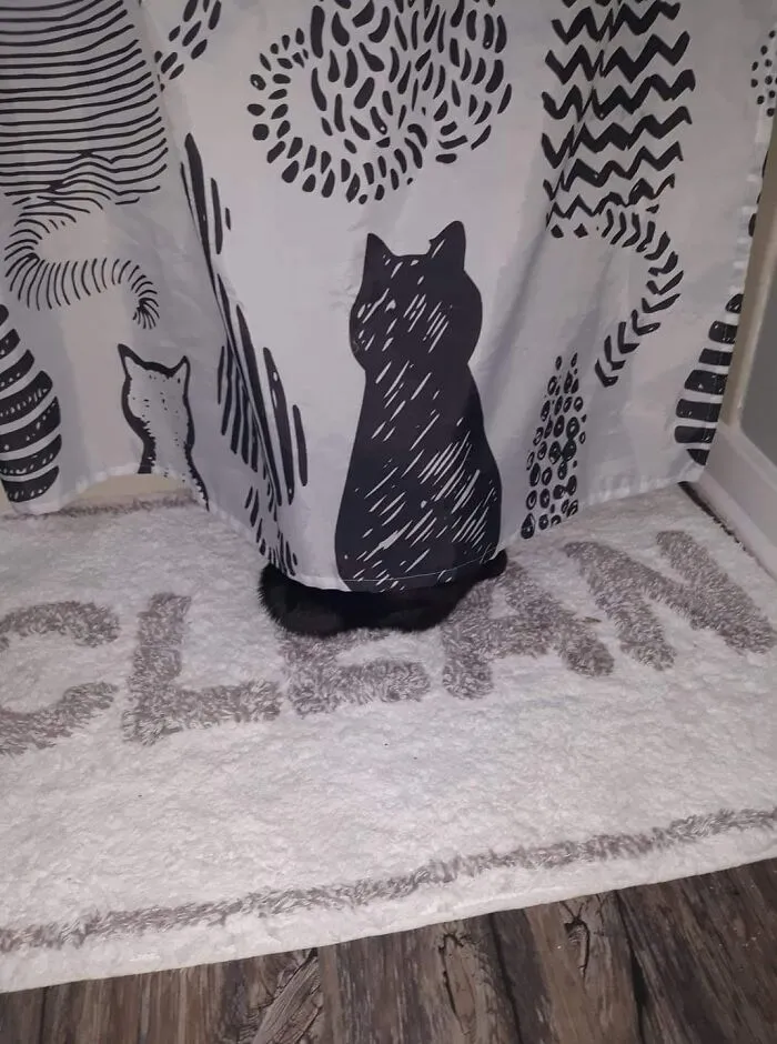 ‘There Is No Cat In This Image’: This X Account Collects Pictures Of Very Well-Hidden Cats (30 New Pics)