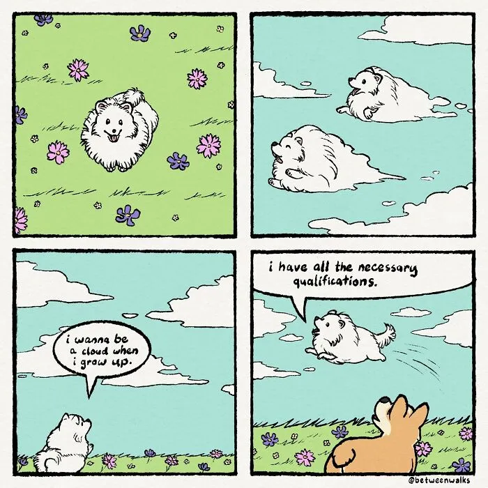 32 Wholesome Comics By Tiff Zhang That Will Make Any Animal Lover Smile