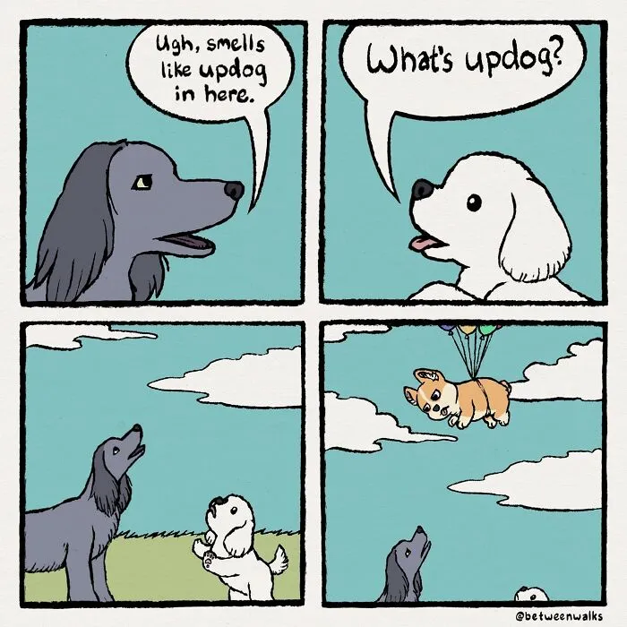 32 Wholesome Comics By Tiff Zhang That Will Make Any Animal Lover Smile