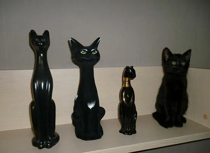 ‘There Is No Cat In This Image’: This X Account Collects Pictures Of Very Well-Hidden Cats (30 New Pics)