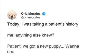 50 Funny Tweets That Have No Business Being So Accurate