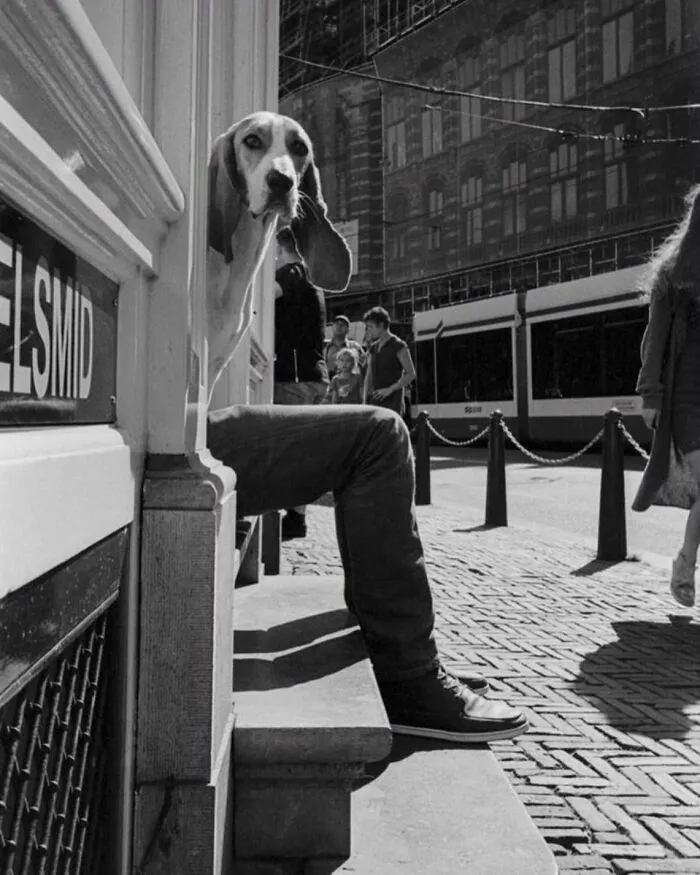 33 Highly Amusing Street Photos Shared On This Instagram Page (New Pics)