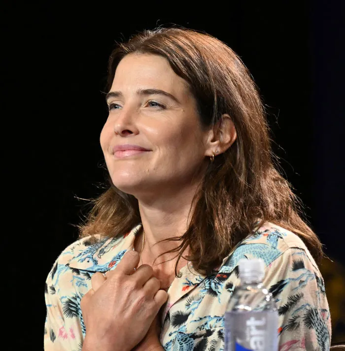 Cobie Smulders 