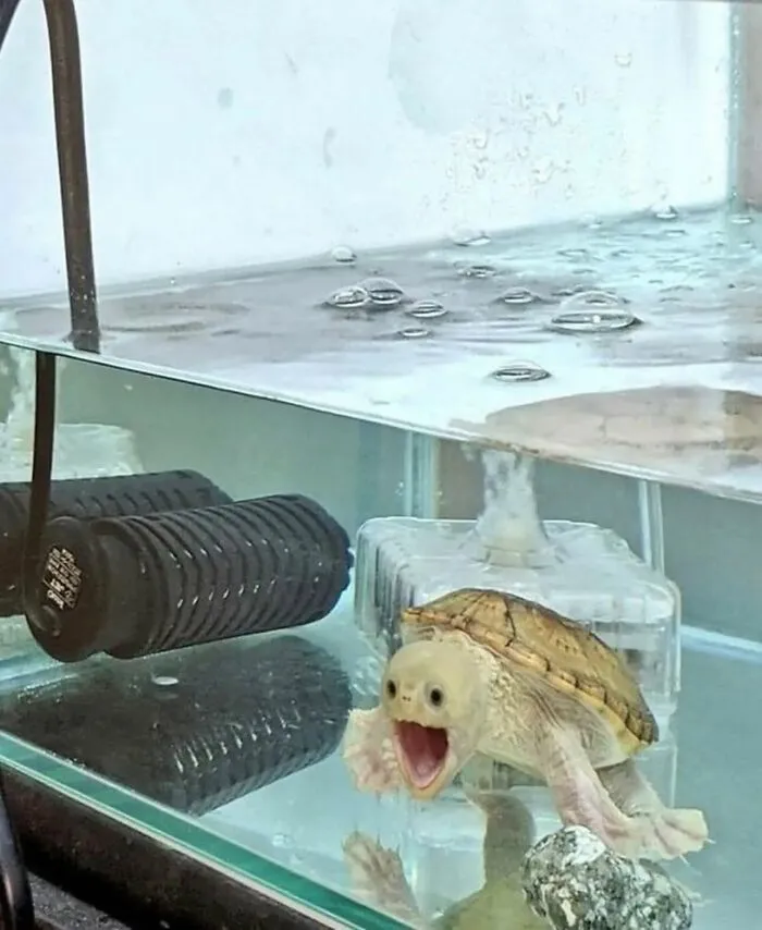 IG Account Posts Pics So Adorable, It’s Basically The Opposite Of Doom Scrolling (30 Pics)