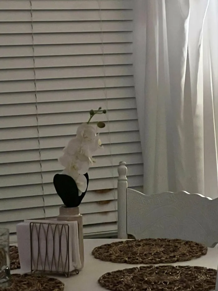 ‘There Is No Cat In This Image’: This X Account Collects Pictures Of Very Well-Hidden Cats (30 New Pics)