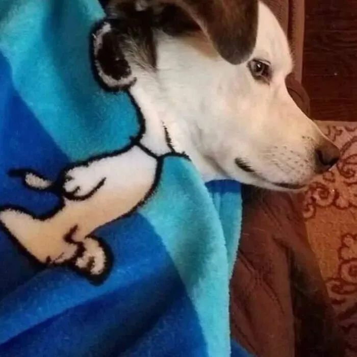 IG Account Posts Pics So Adorable, It’s Basically The Opposite Of Doom Scrolling (30 Pics)